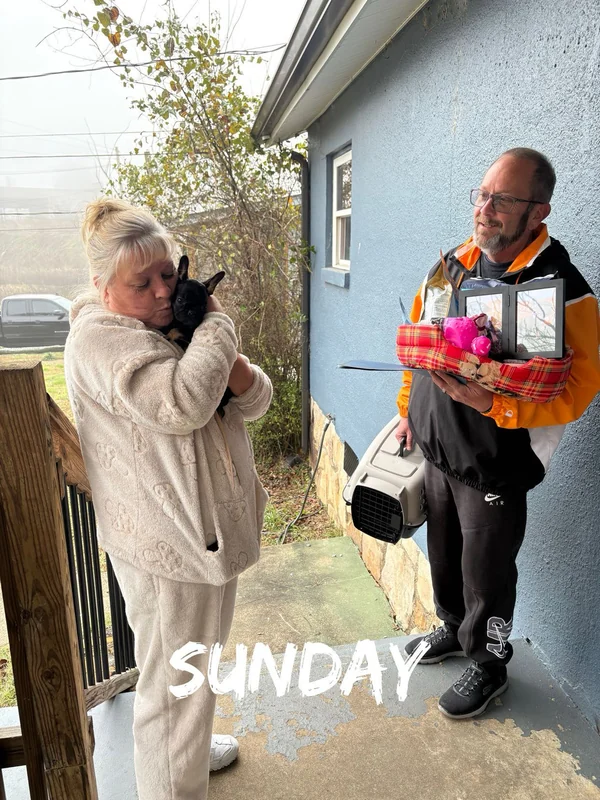 A family welcoming their puppy on a Sunday