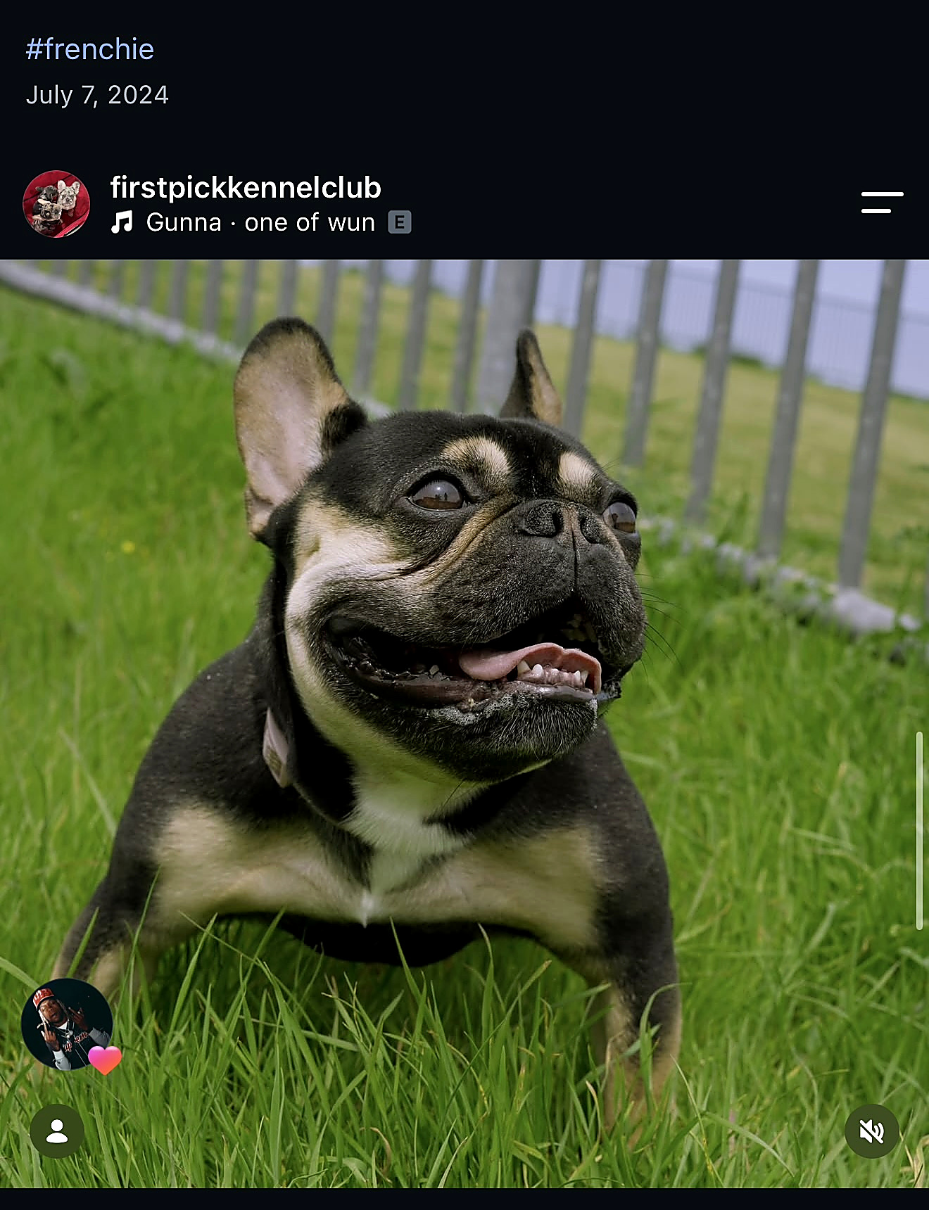 Polly smiling while standing in grass